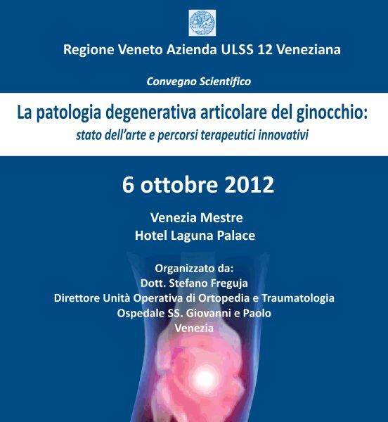PATOLOGIA DEGENERATIVA DEL GINOCCHIO PATOLOGIA DEGENRATIVA DEL GINOCCHIO